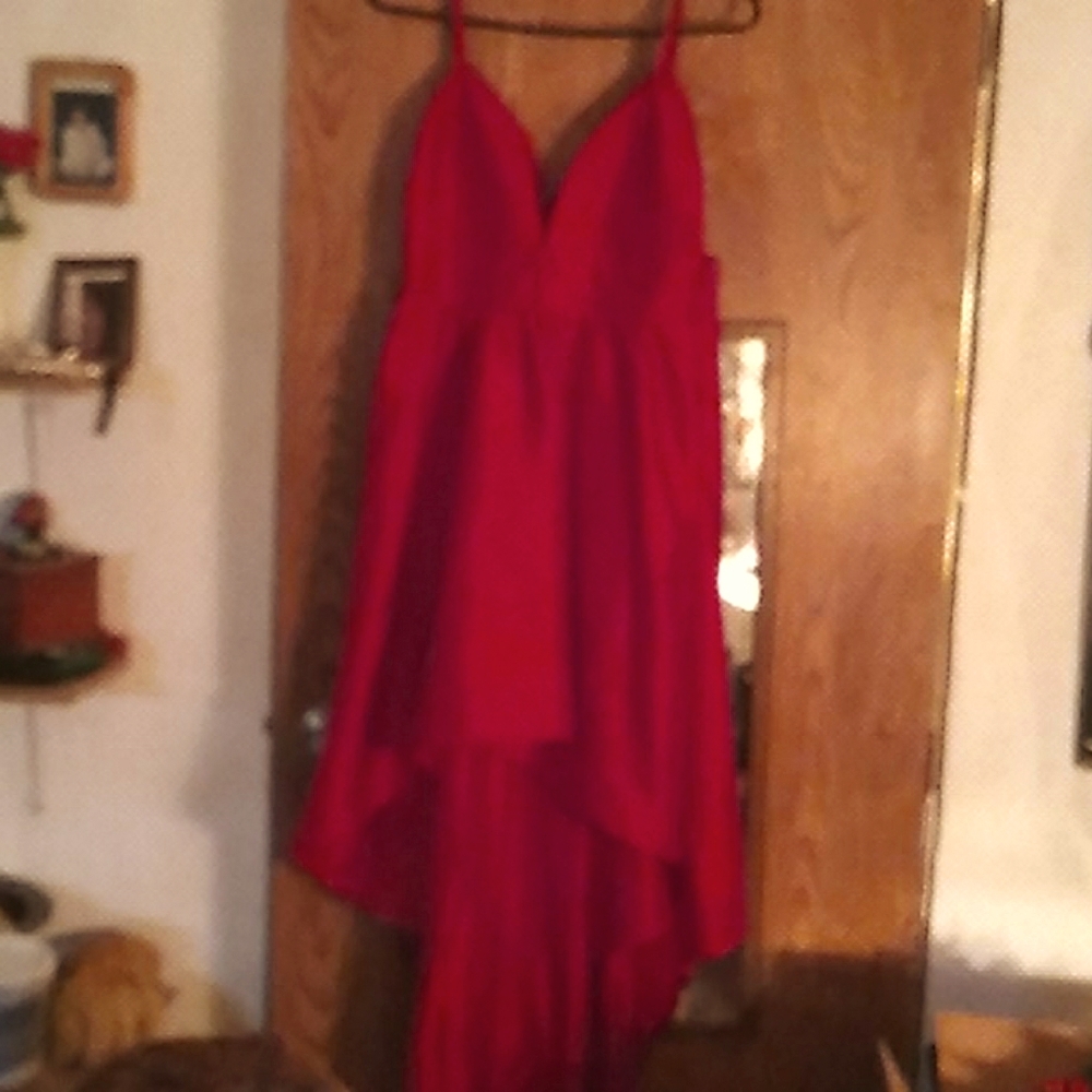 Two identical hi/low bridesmaid dresses